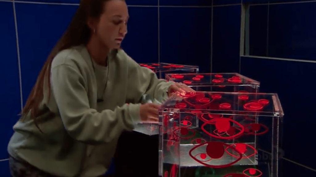  Houseguests play for the Power of Veto and a secret veto is unleashed